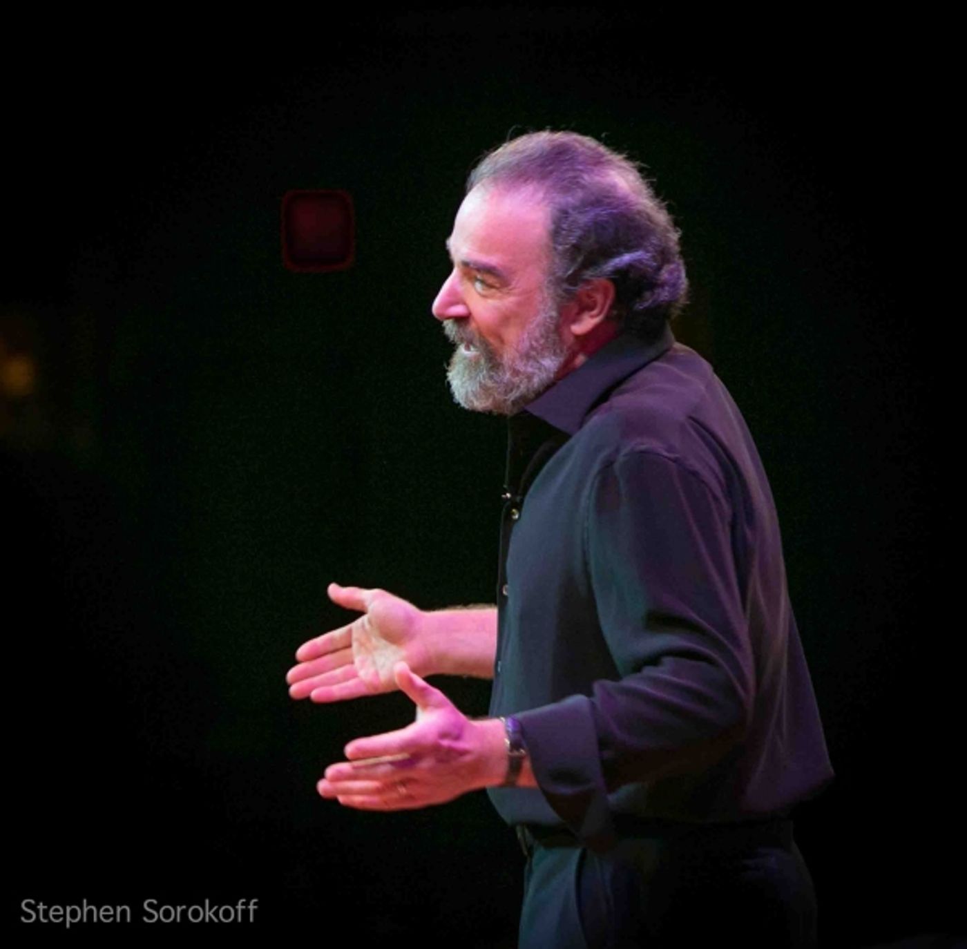 Photo Coverage: National Yiddish Theatre Honors Neil Sedaka  Image