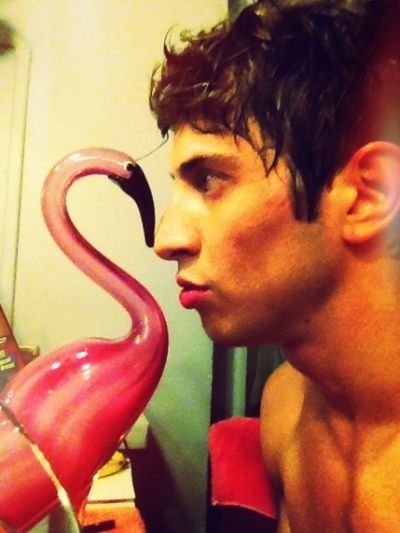 PRISCILLA, QUEEN OF THE DESERT's Nick Adams
 Photo