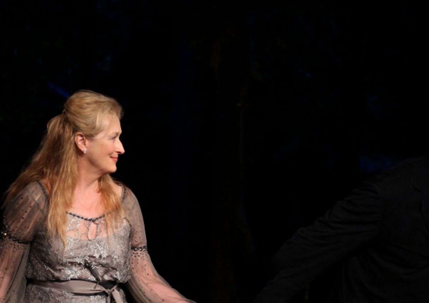 Photo Coverage: Meryl Streep, Kevin Kline & Co. in ROMEO & JULIET Curtain Call in Central Park  Image