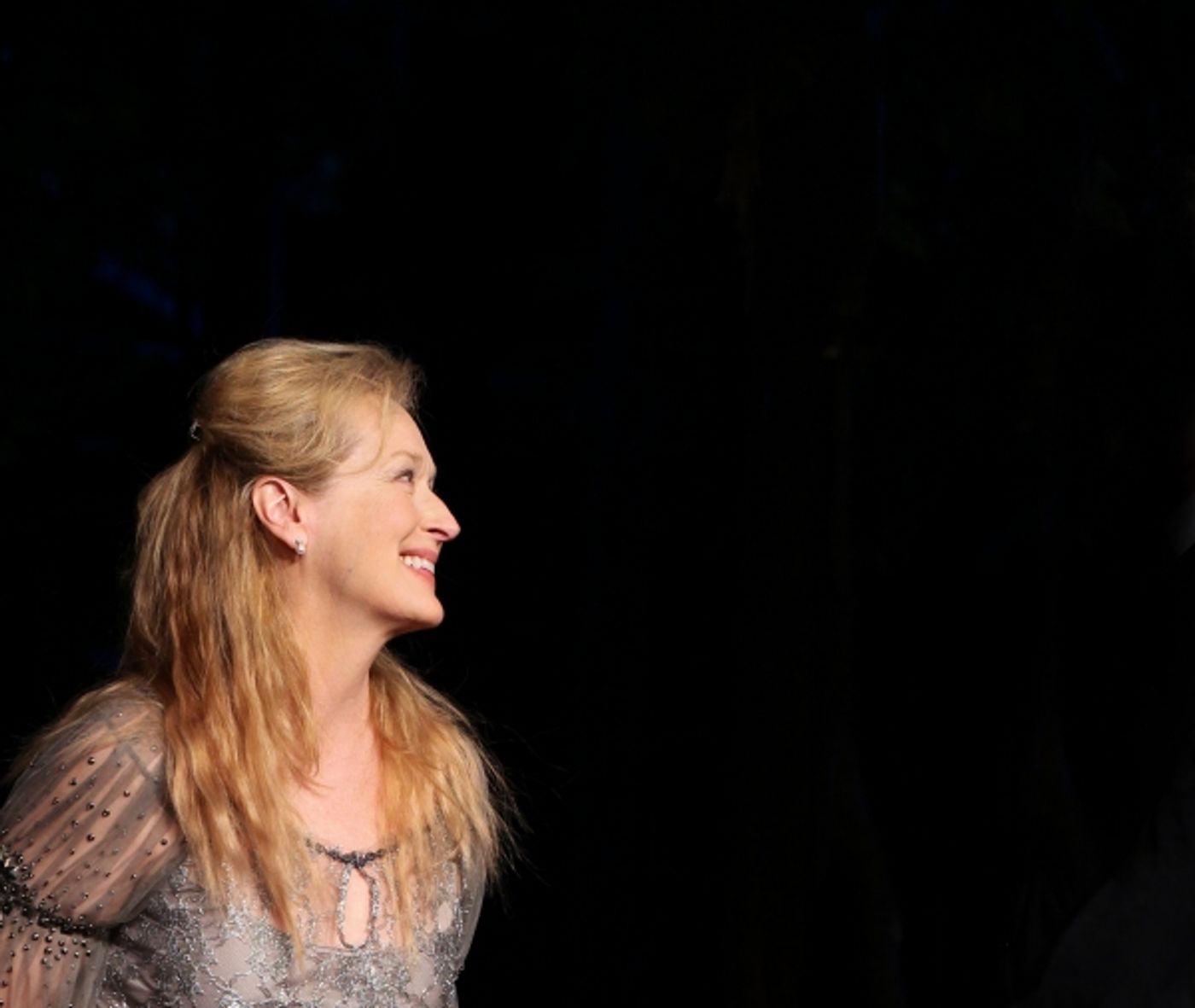 Photo Coverage: Meryl Streep, Kevin Kline & Co. in ROMEO & JULIET Curtain Call in Central Park  Image