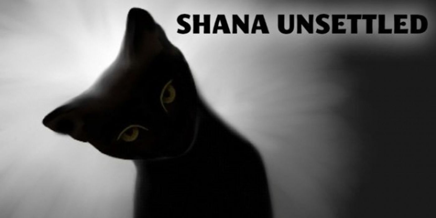 Photo Flash: First Look at Fells Point Corner Theatre's SHANA UNSETTLED Photo Flash: First Look at Fells Point Corner Theatre's SHANA UNSETTLED Image