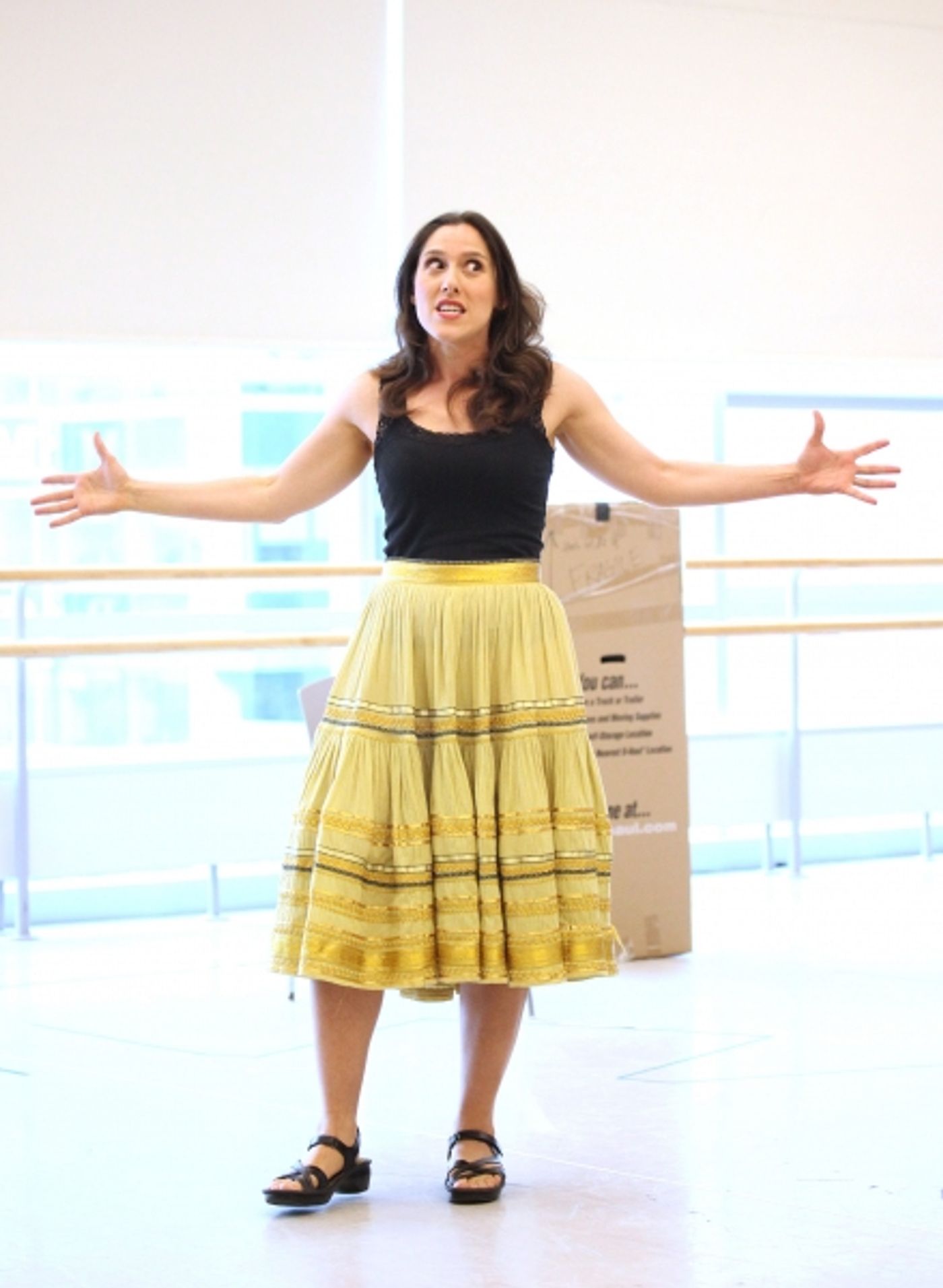 Photo Coverage: THE LAST SMOKER IN AMERICA Meets the Press - Performance Preview!  Image