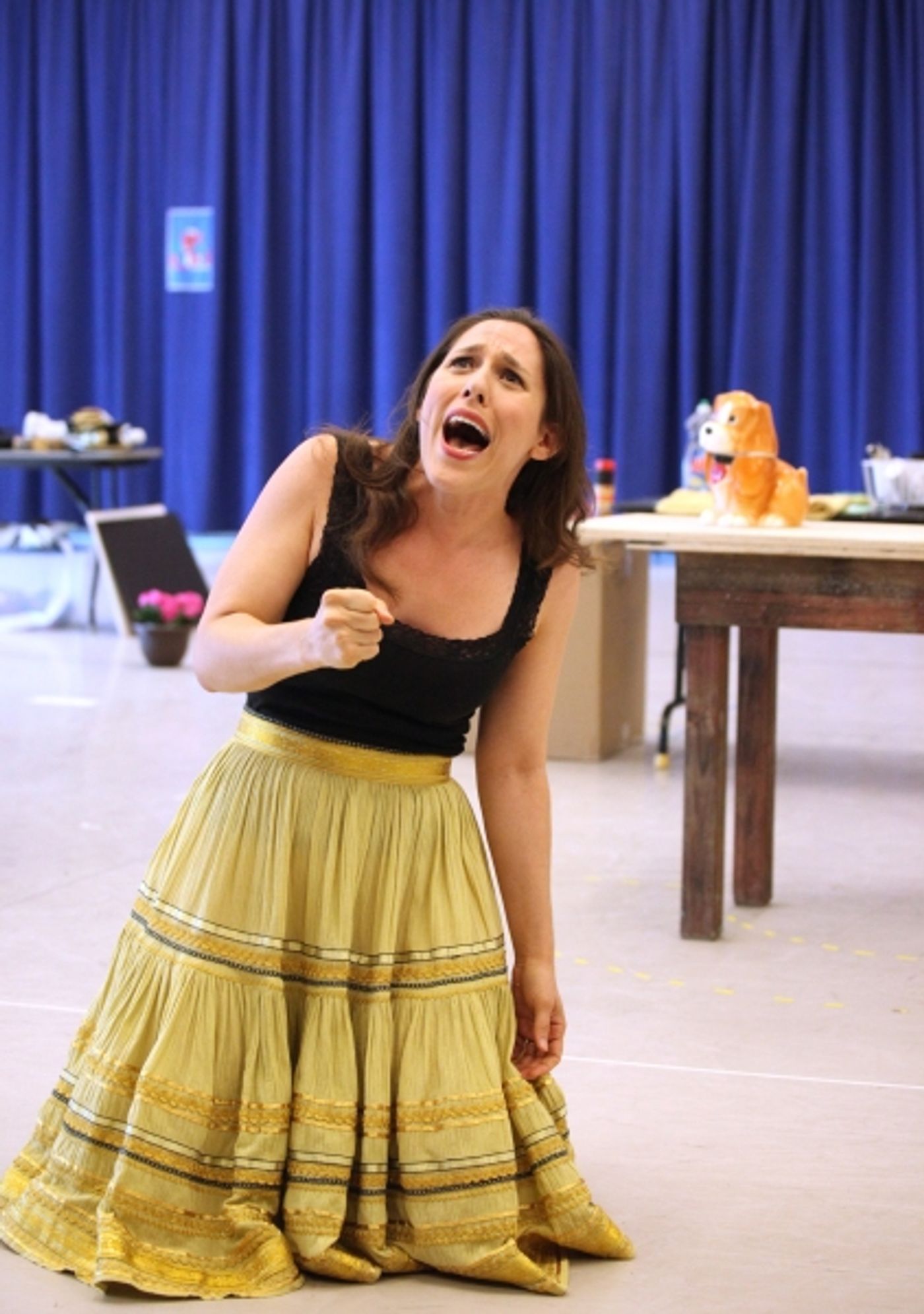 Photo Coverage: THE LAST SMOKER IN AMERICA Meets the Press - Performance Preview!  Image