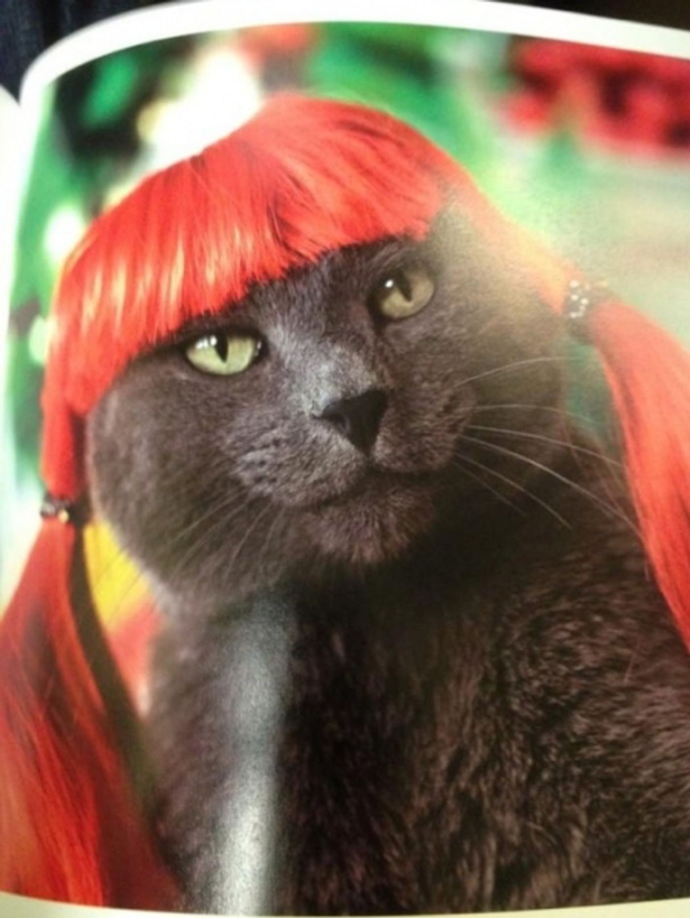 Photo Flash: Saturday Intermission Pics, June 23 - PRISCILLA's Last SIP, West End's GHOST and More!  Image