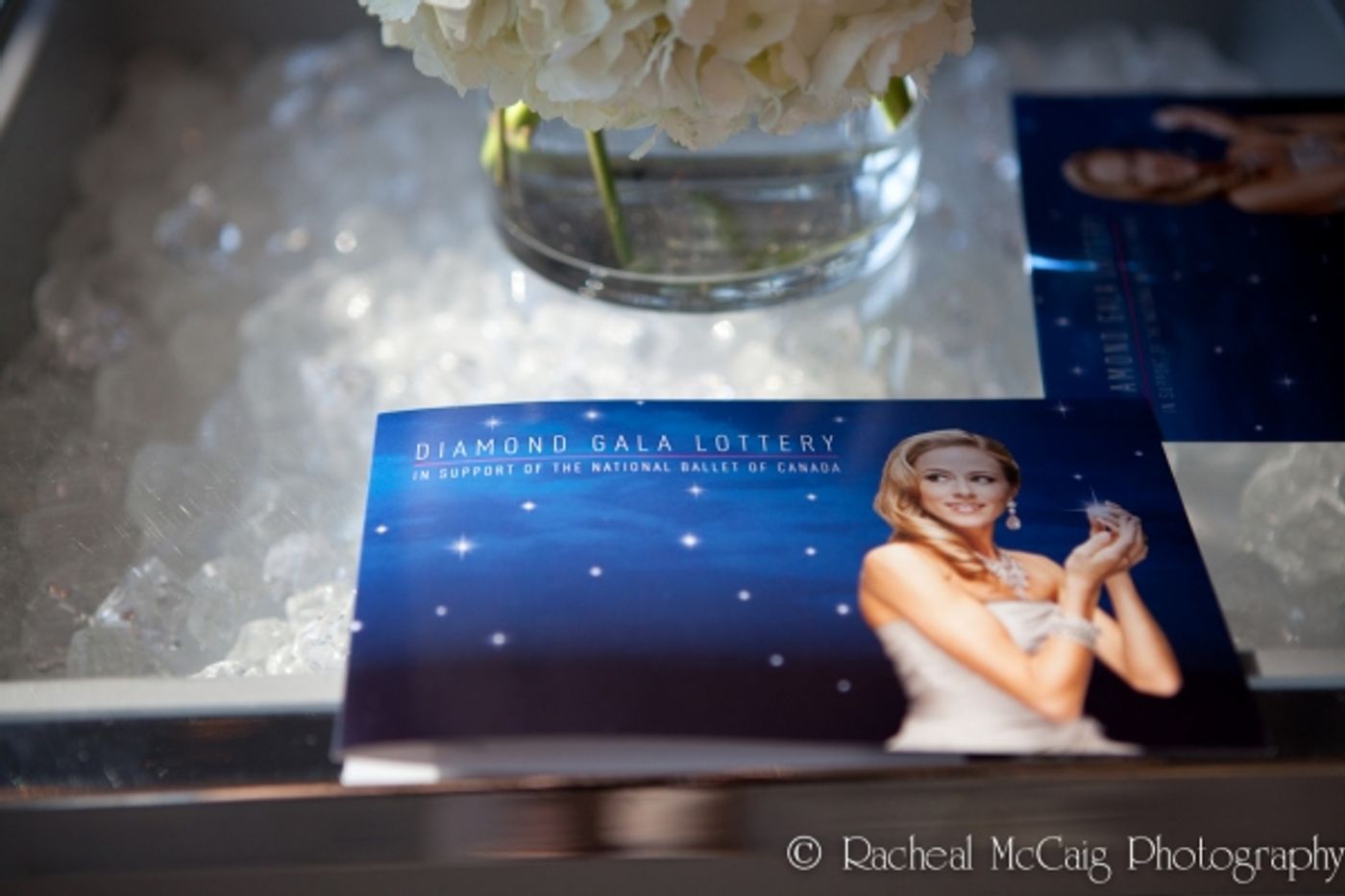 Photo Flash: The National Ballet Celebrates Its Diamond Anniversary Image