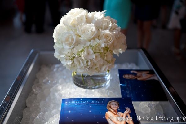 Photo Flash: The National Ballet Celebrates Its Diamond Anniversary — photo 3 of 31