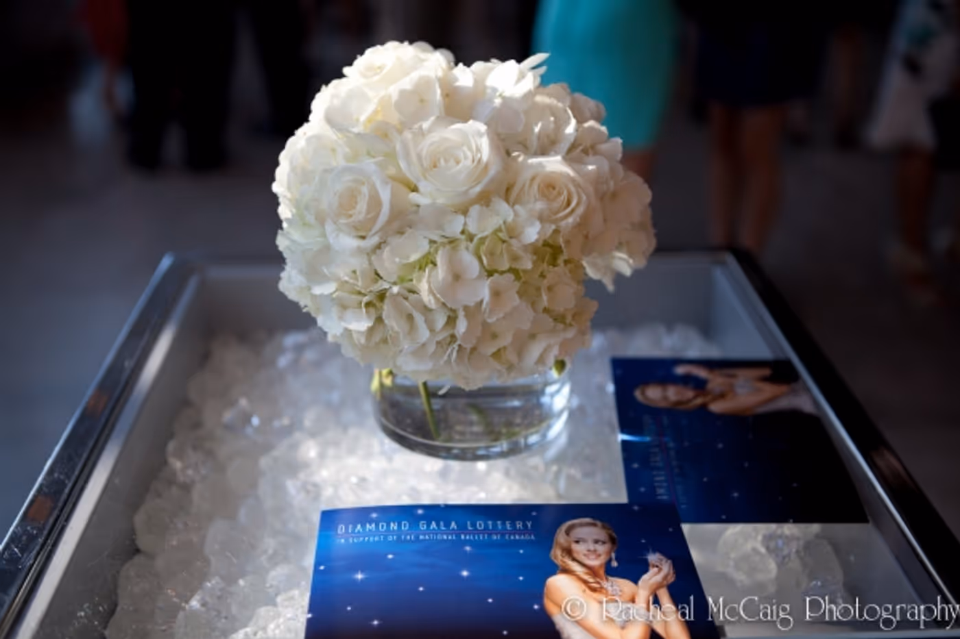 Photo Flash: The National Ballet Celebrates Its Diamond Anniversary Image