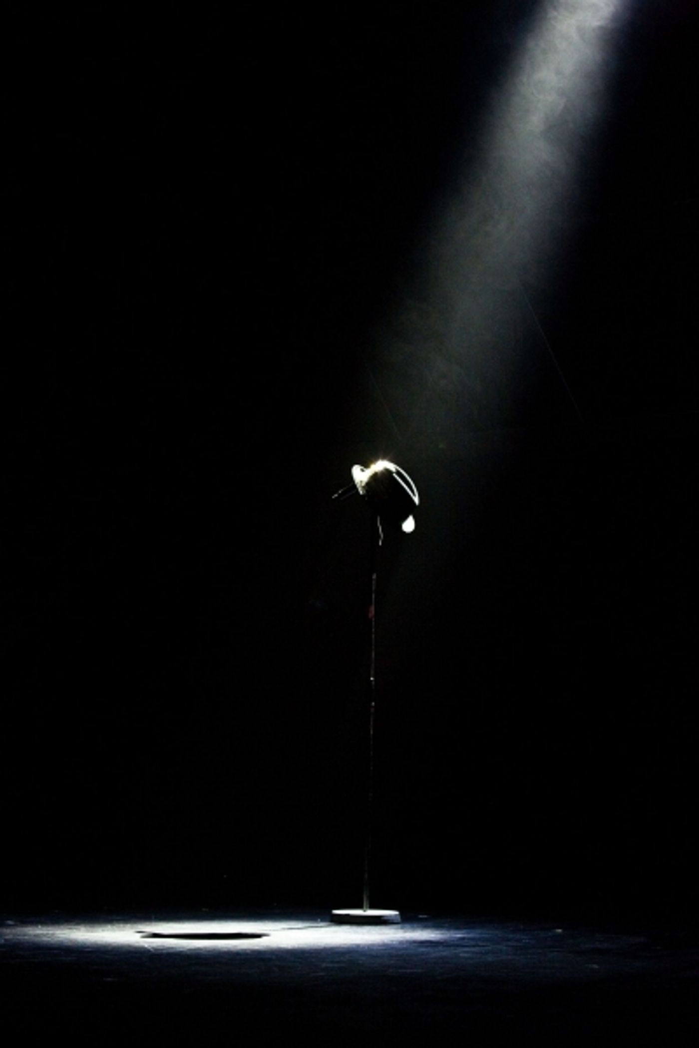 Photo Flash: West End's THRILLER LIVE Pays Tribute to Michael Jackson  Image