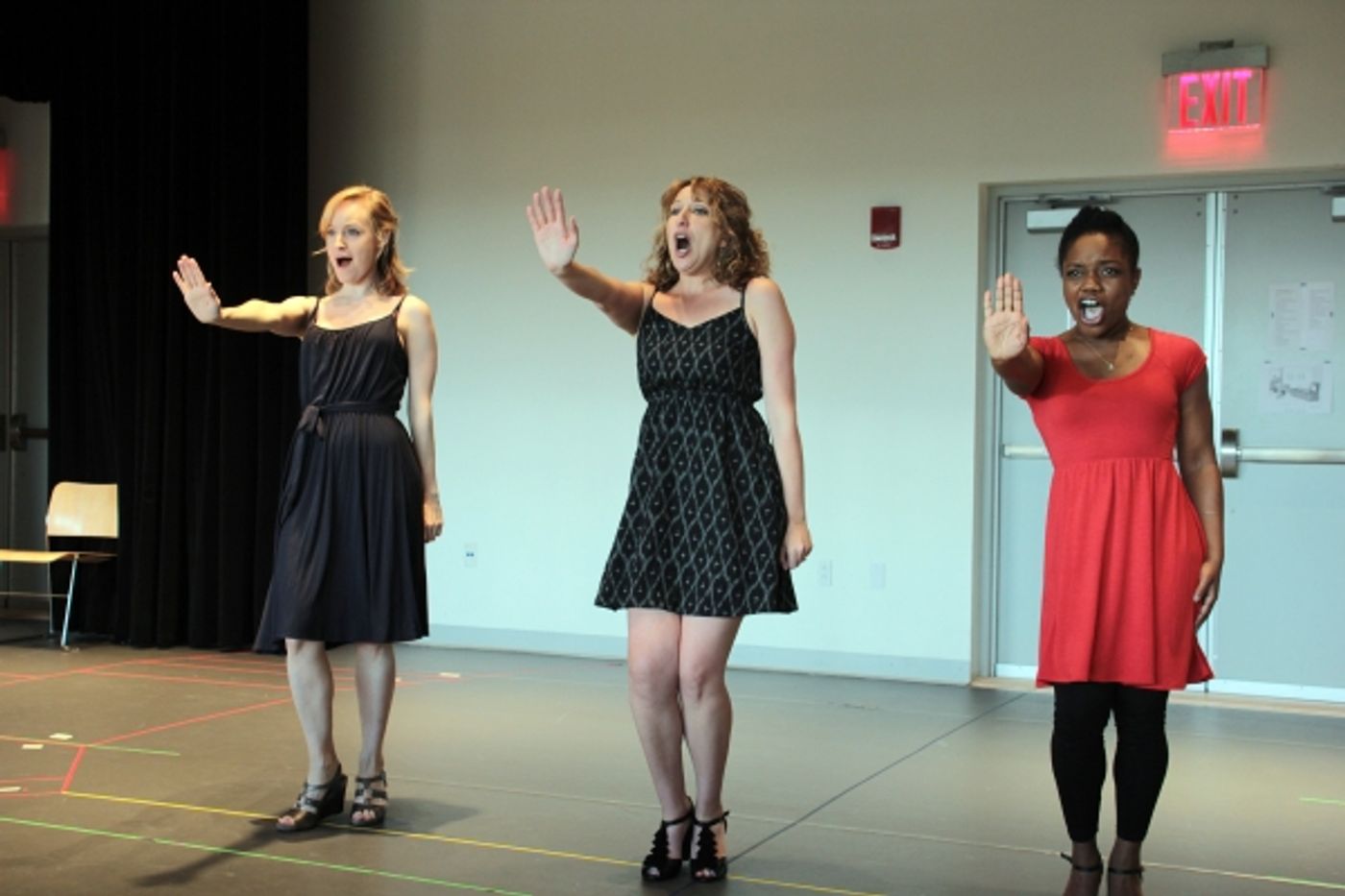Photo Coverage: Meet the Cast of A GRAND NIGHT FOR SINGING - Erin Davie & More! Photo Coverage: Meet the Cast of A GRAND NIGHT FOR SINGING - Erin Davie & More! Image