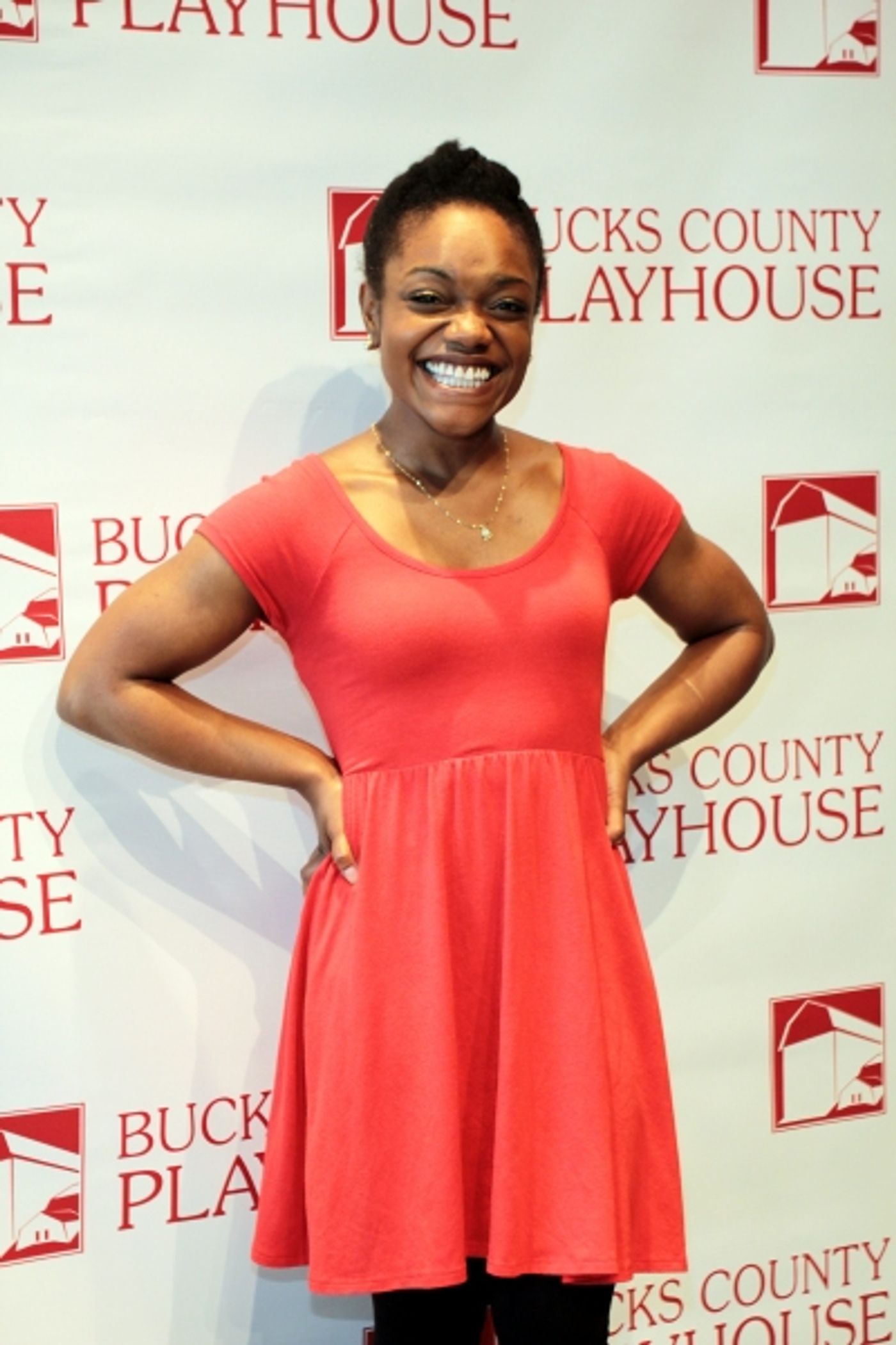 Photo Coverage: Meet the Cast of A GRAND NIGHT FOR SINGING - Erin Davie & More!  Image
