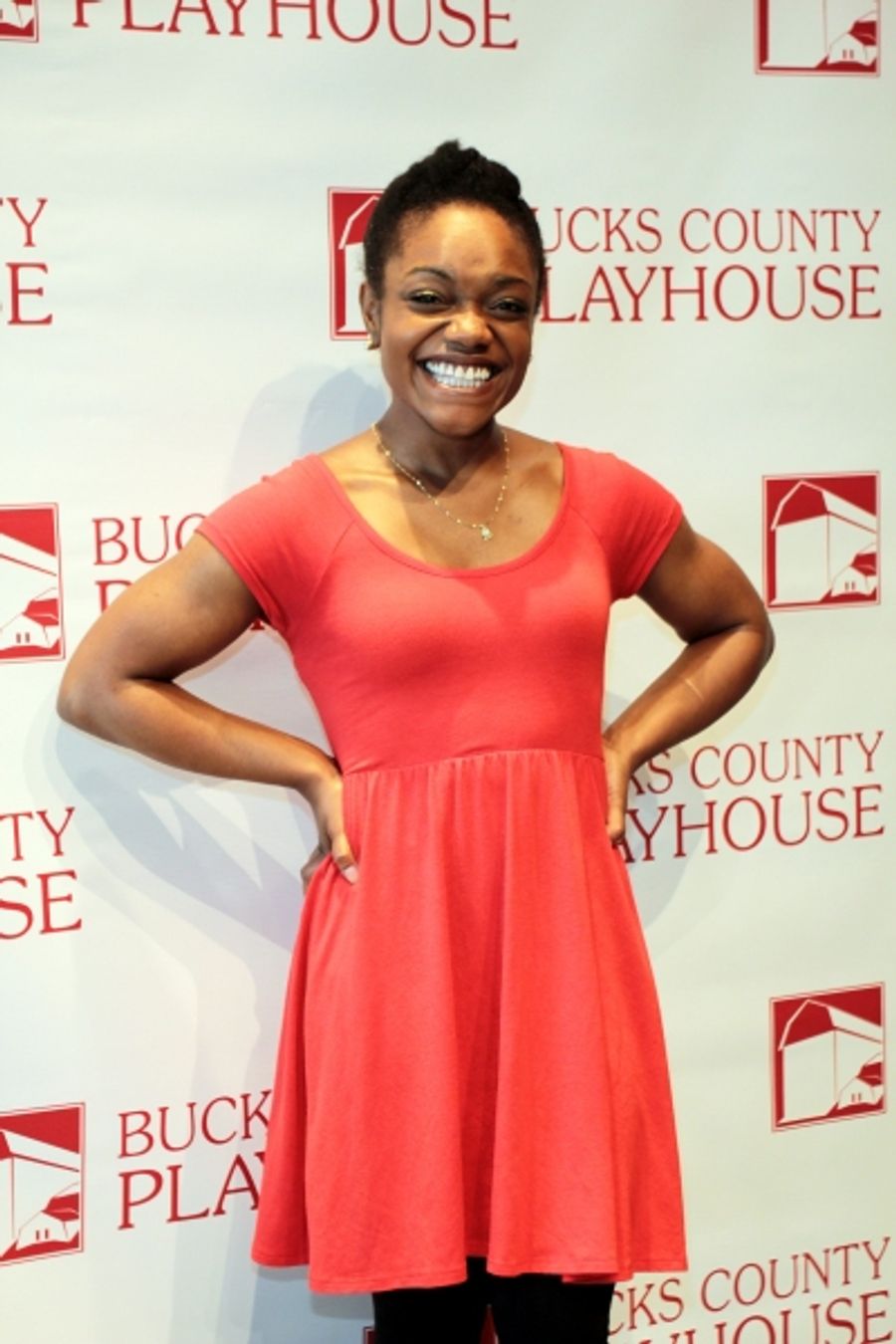 Photo Coverage: Meet the Cast of A GRAND NIGHT FOR SINGING - Erin Davie & More! Image