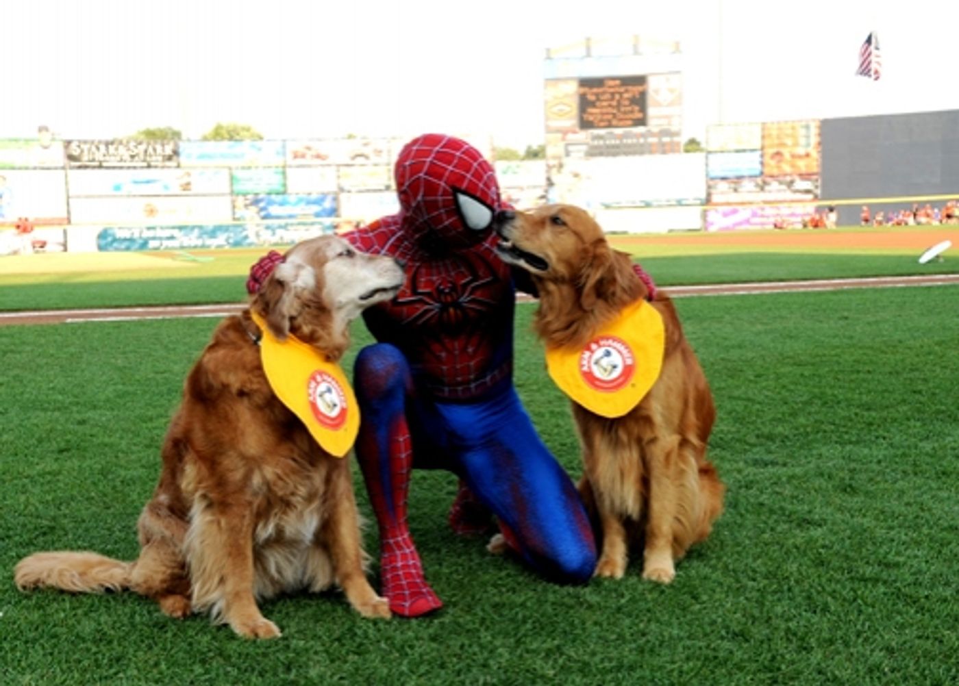 Photo Flash: SPIDER-MAN Throws First Pitch for Trenton Thunder  Image