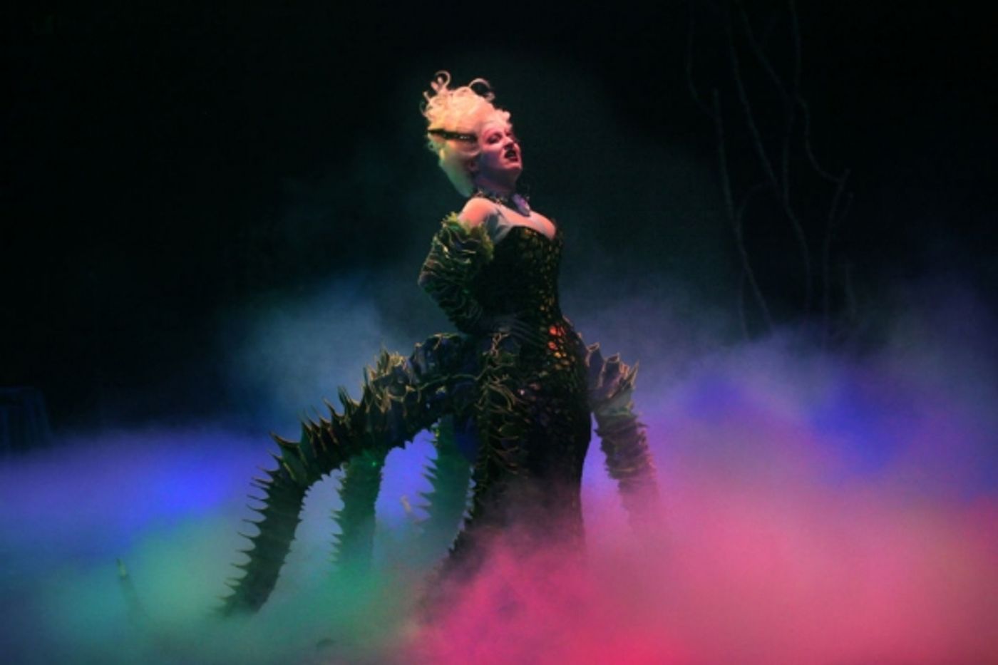 Photo Flash: Complete Look at Jessica  Grové and More in Music Circus' THE LITTLE MERMAID  Image