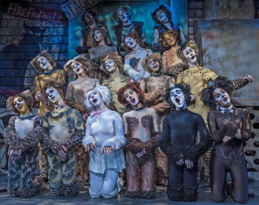 Photo Flash: First Look at Emily Brockway and More in CRT's CATS Image