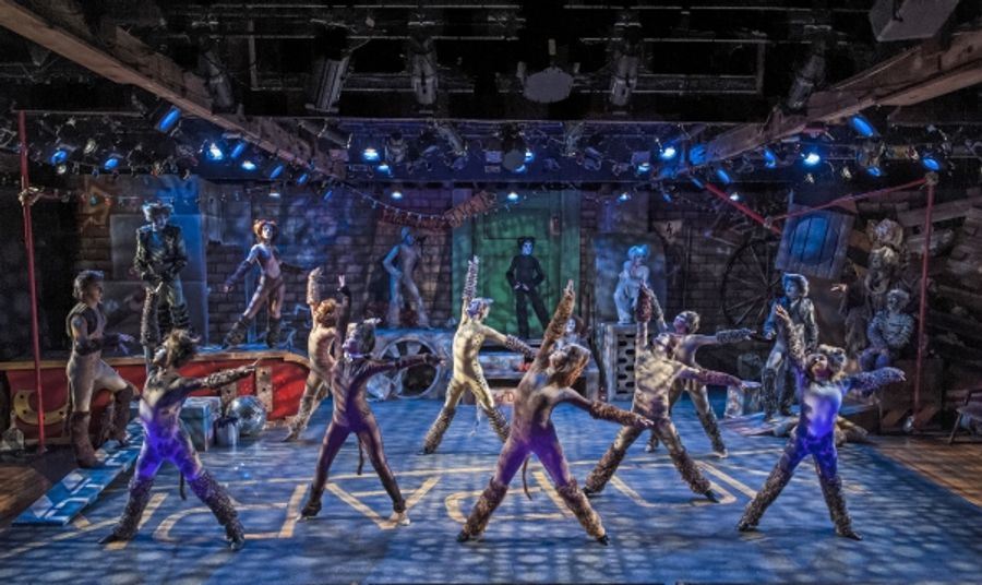 Photo Flash: First Look at Emily Brockway and More in CRT's CATS Image