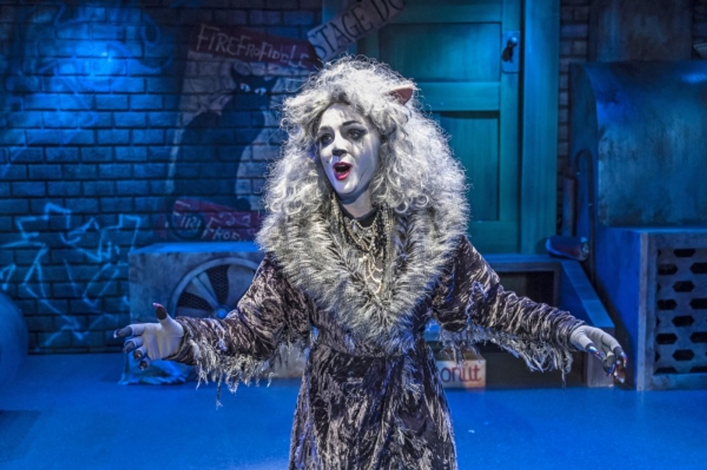 Photo Flash: First Look at Emily Brockway and More in CRT's CATS  Image