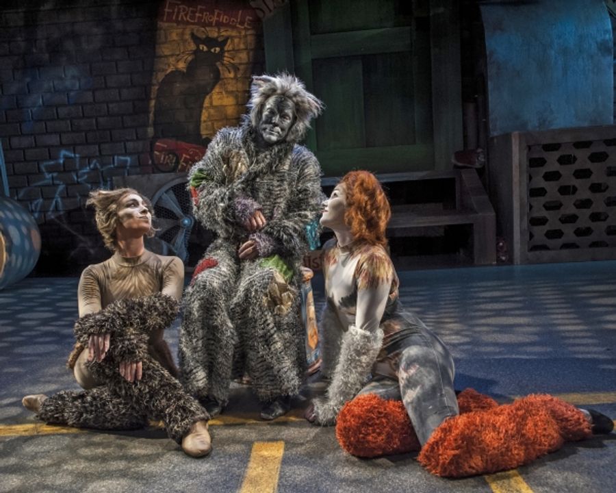 Photo Flash: First Look at Emily Brockway and More in CRT's CATS Image