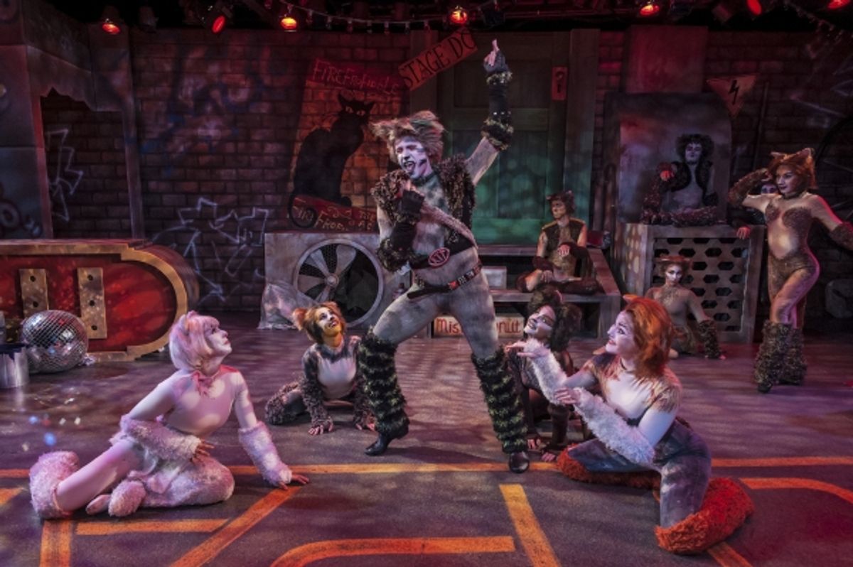 Avery Epstein as Victoria, Maria Cristina Slye as Rumpleteazer, Ryan Shaefer as Rum Tum Tugger, Katherine Margo Brown as Cassandra and Abby Sheridan as Sillabub at 