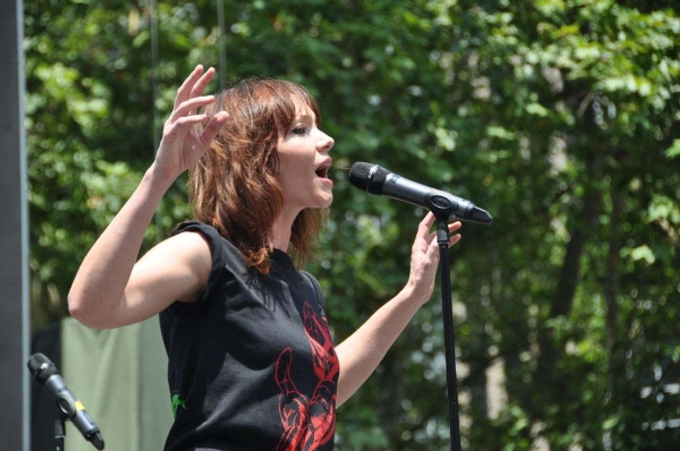 Photo Coverage: SPIDER-MAN, PORGY AND BESS and More at Broadway in Bryant Park!  Image