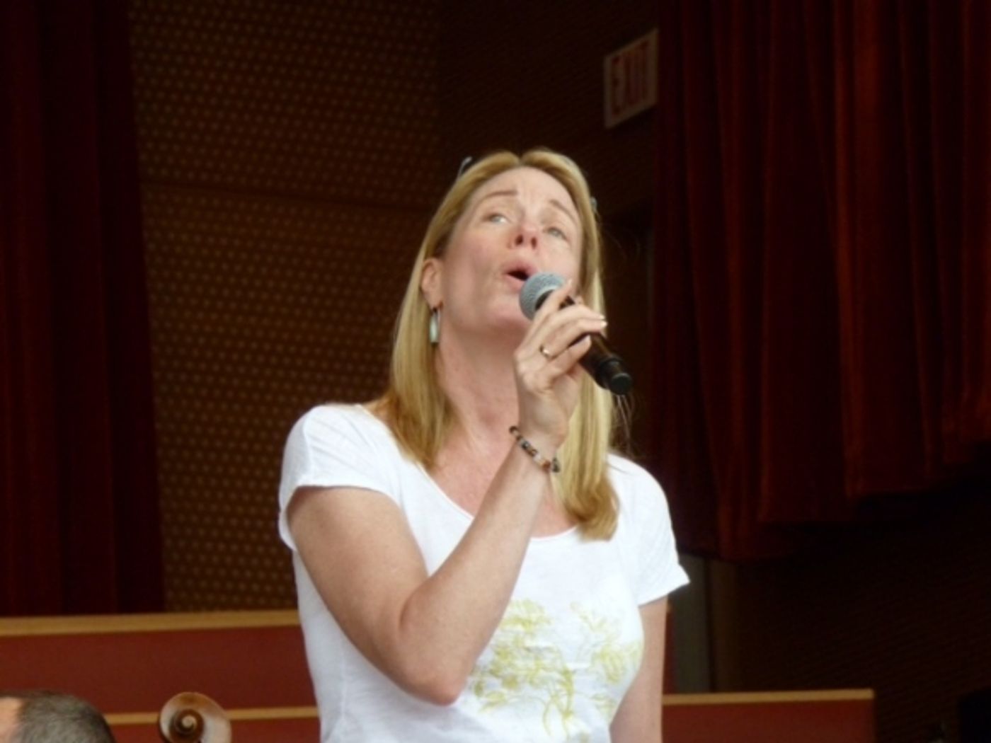 Photo Flash: Rebecca Luker, Marin Mazzie and More at Grant Park Music Festival PERFECTLY FRANK Rehearsal  Image