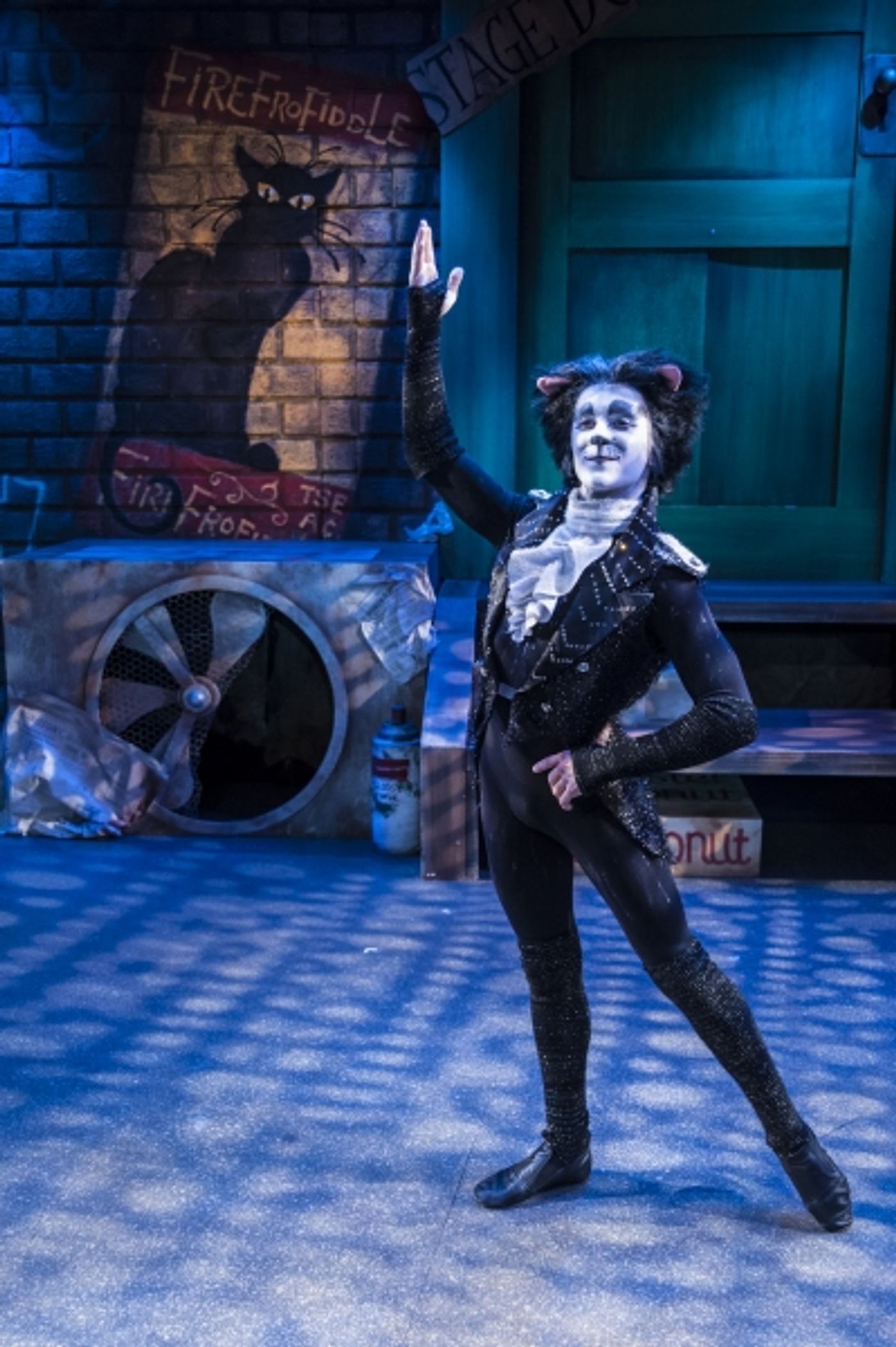 Photo Flash: CRT Presents “One Night Only” Cabaret Featuring Cast of CATS, 7/21  Image