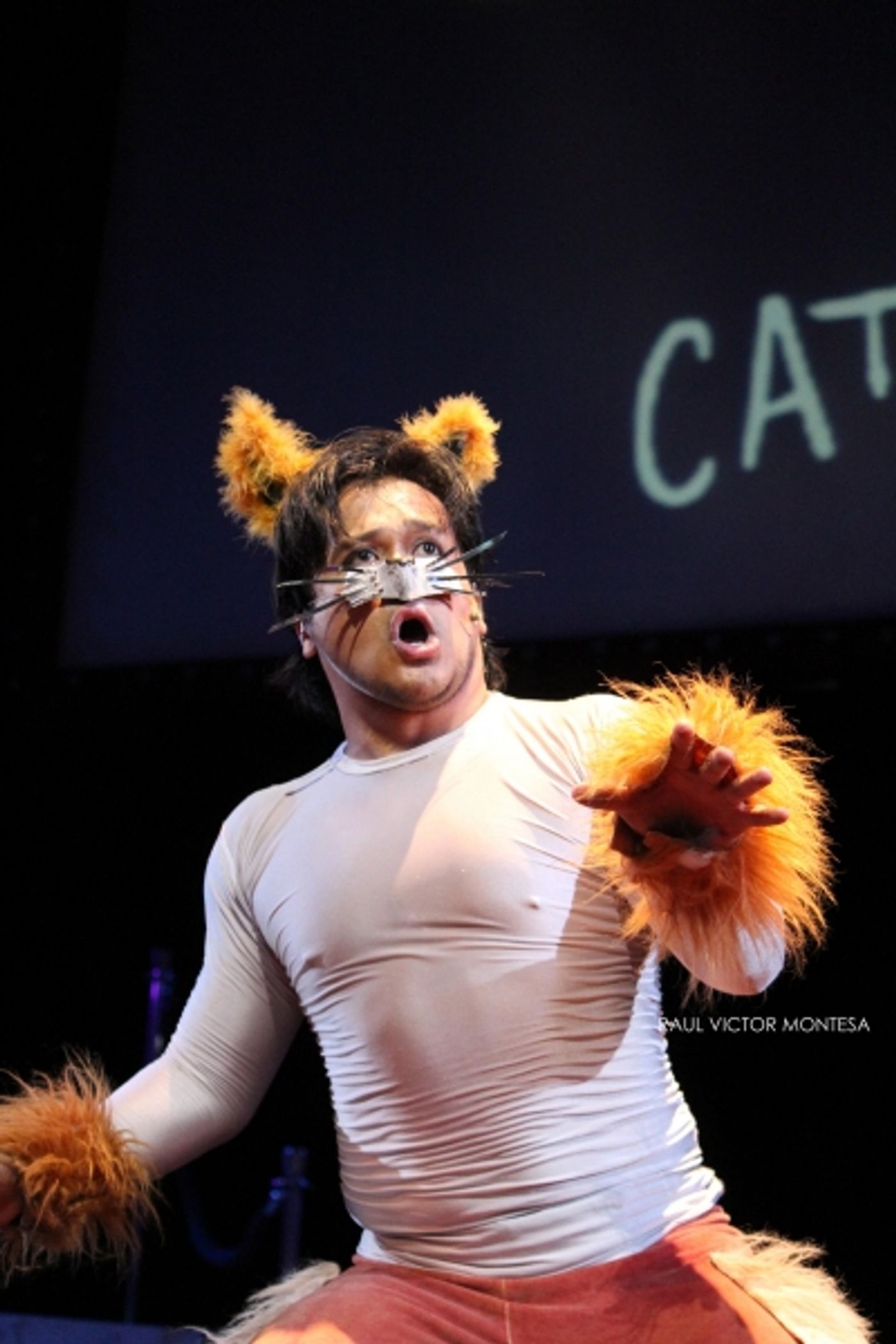 Photo Flash: More Photos from FORBIDDEN BROADWAY in Manila, Repeat on 8/24-25 Photo Flash: More Photos from FORBIDDEN BROADWAY in Manila, Repeat on 8/24-25 Image