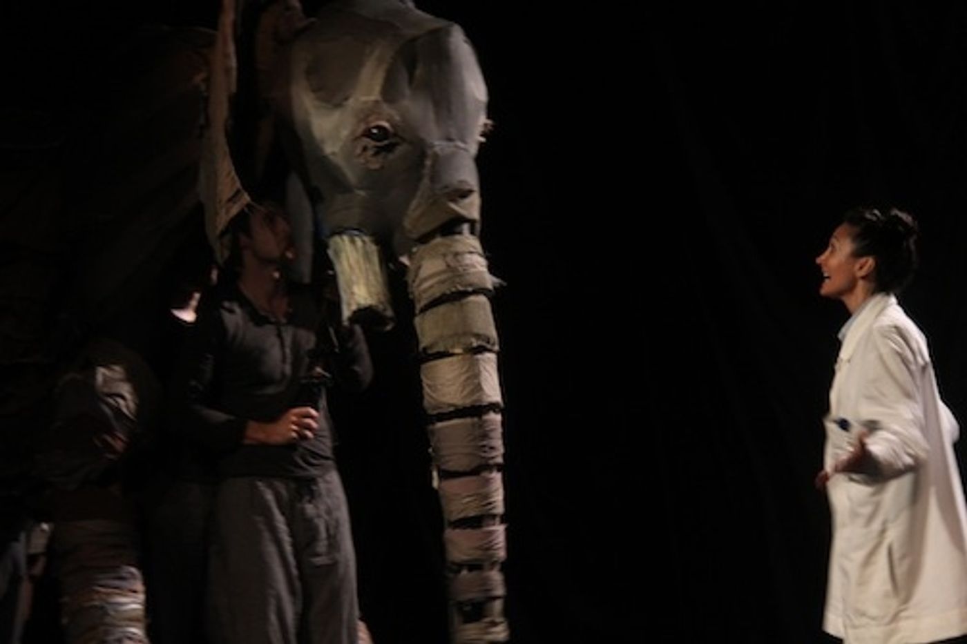 Photo Flash: Jessica Dickey and More in MISS LILLY GETS BONED, Opening at Ice Factory Festival Tonight, 7/18  Image
