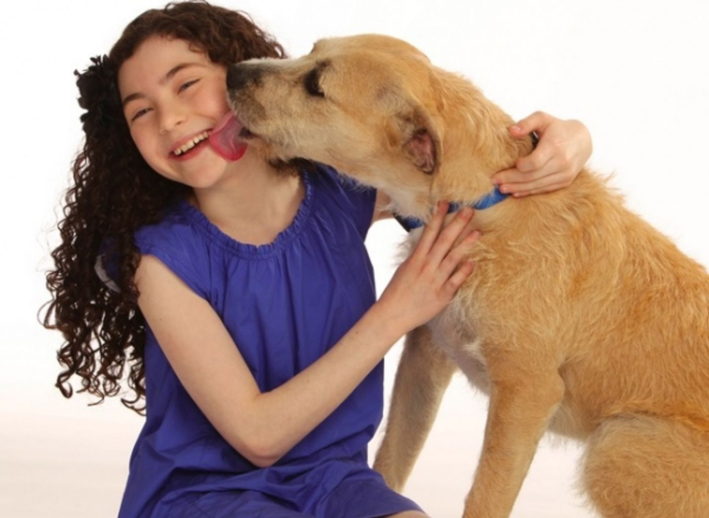 Photo Flash: Meet ANNIE's 'Sandy,' Shelter Dog Sunny!  Image