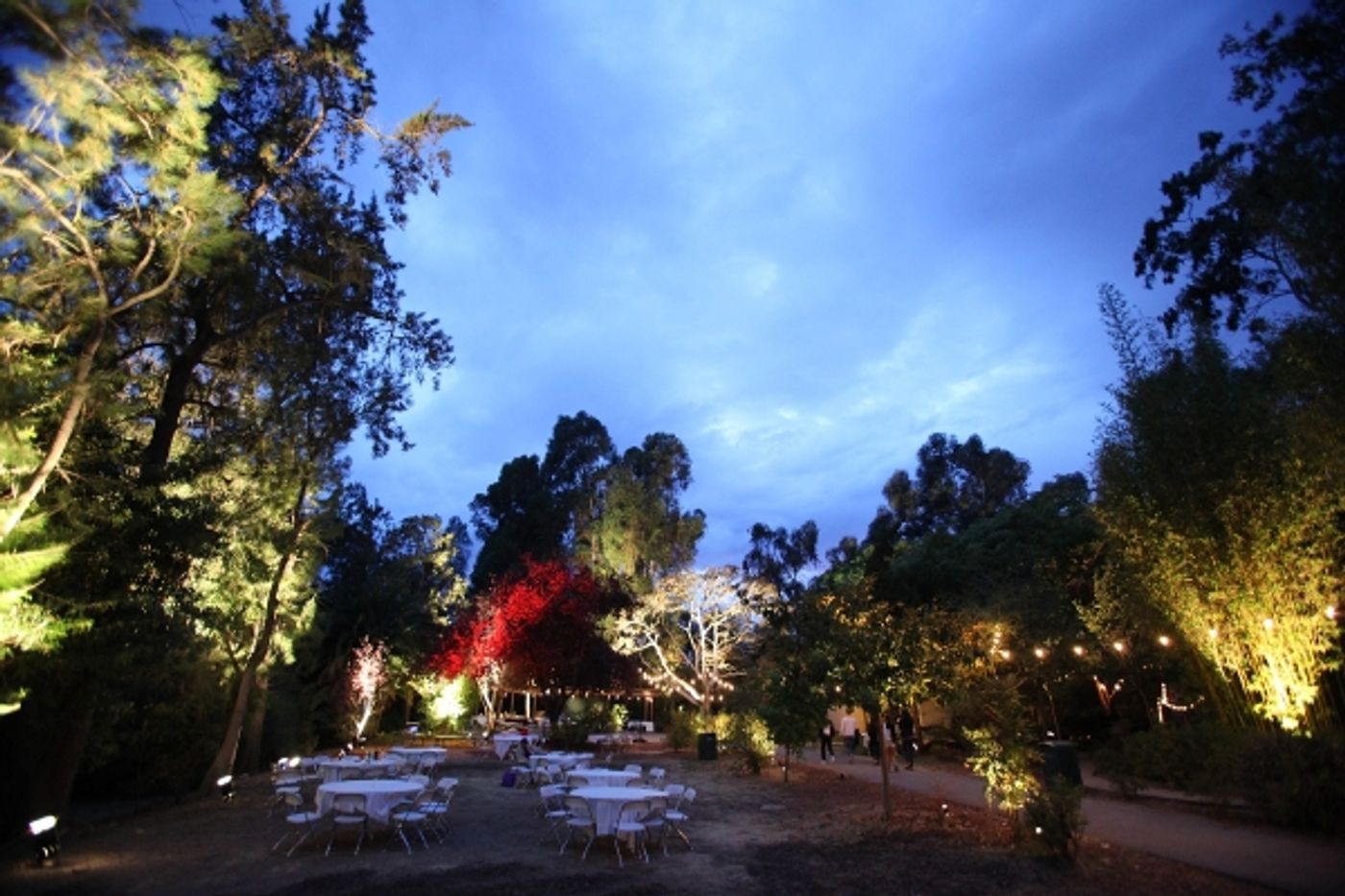 Photo Flash: Tom Hanks, Marines and More See AS YOU LIKE IT at Shakespeare Center of LA  Image