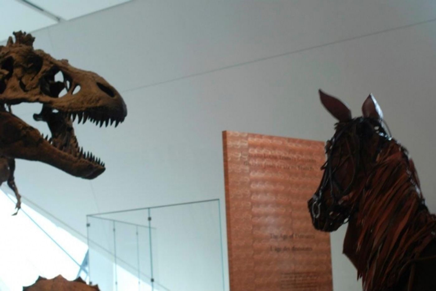 Photo Flash: WAR HORSE's Joey and Topthorn Hit the Streets of Toronto Photo Flash: WAR HORSE's Joey and Topthorn Hit the Streets of Toronto Image