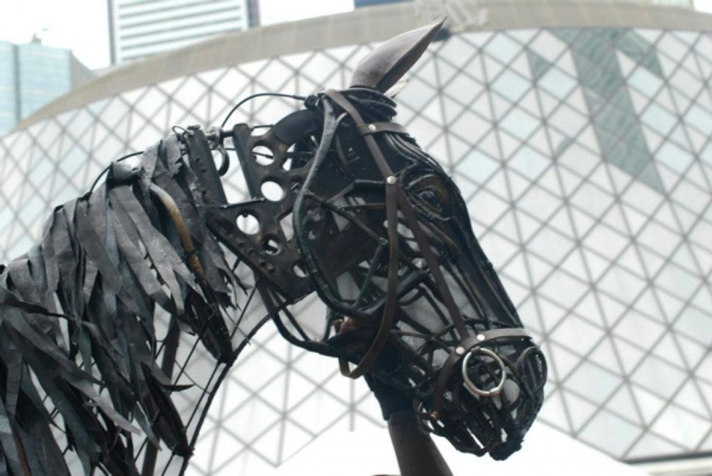 Photo Flash: WAR HORSE's Joey and Topthorn Hit the Streets of Toronto Photo Flash: WAR HORSE's Joey and Topthorn Hit the Streets of Toronto Image