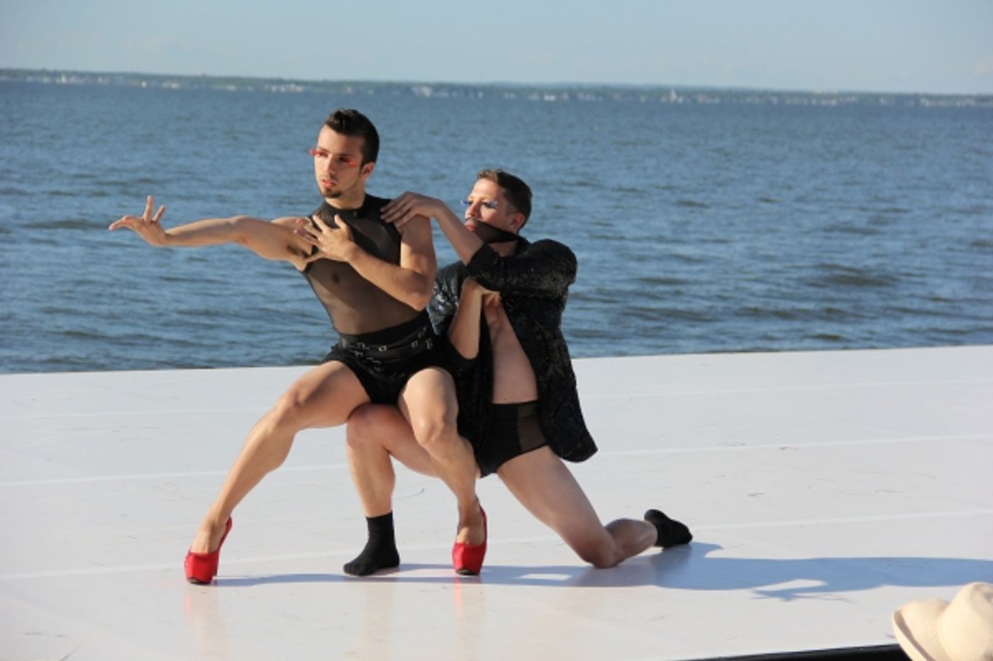 Photo Coverage: Fire Island Dance Festival 2012 Earns $374,260 for BC/EFA!  Image