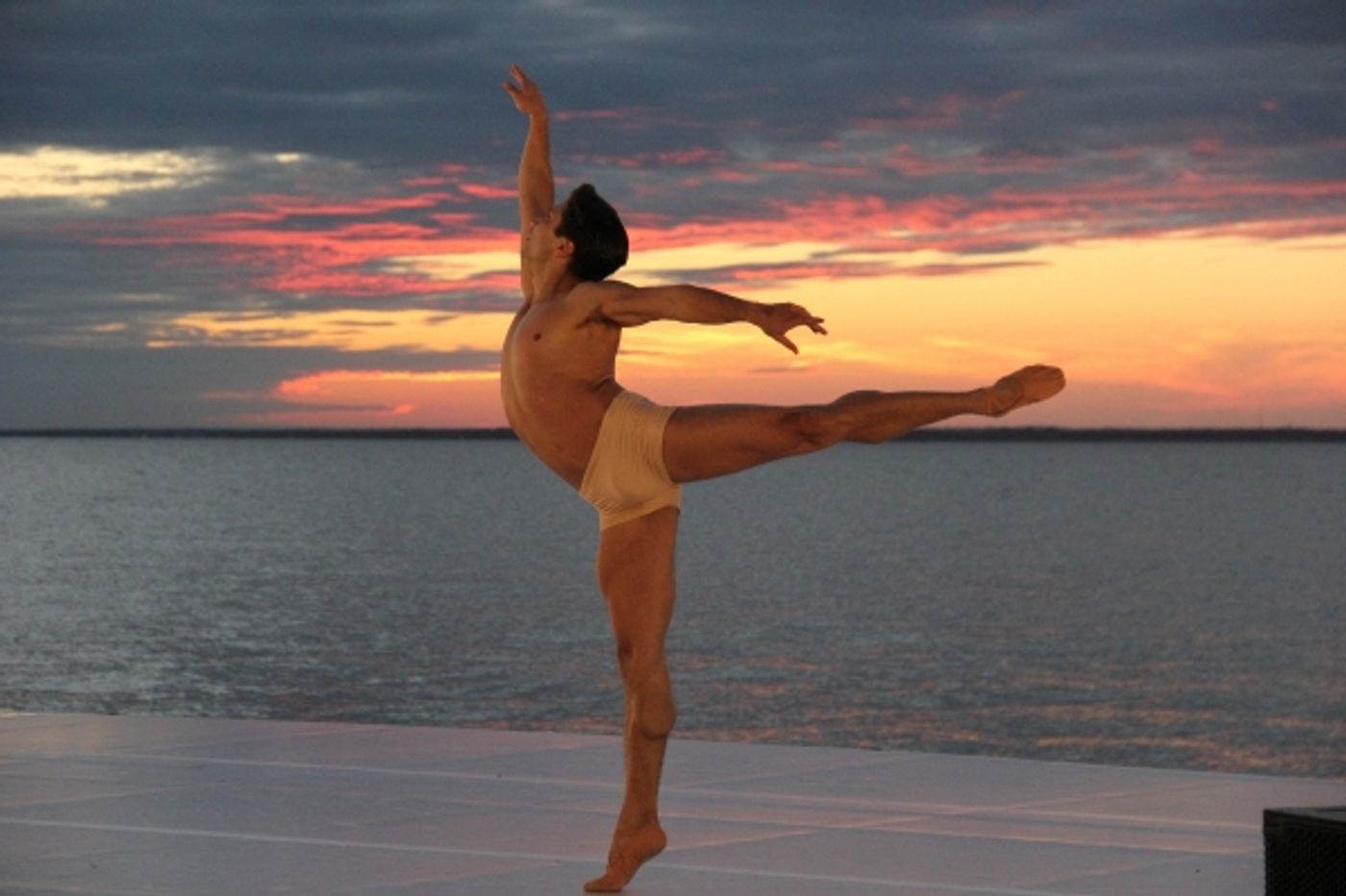 Photo Coverage: Fire Island Dance Festival 2012 Earns $374,260 for BC/EFA!  Image