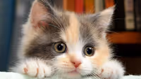 tazber Profile Photo