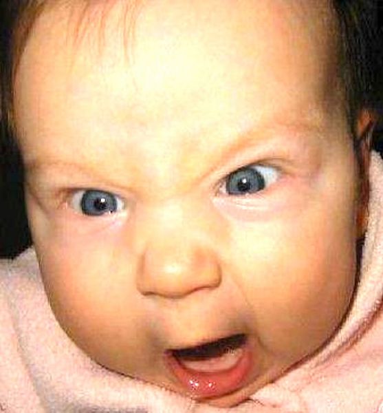 berniebaby profile photo