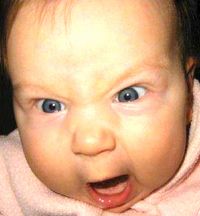 berniebaby Profile Photo