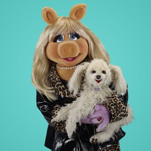 Glittergrrl Profile Photo
