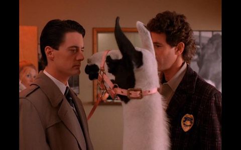 Perfectly Marvelous 2 Profile Photo