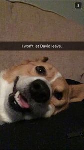 overthemoon2shiz Profile Photo