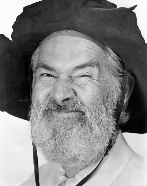 Gabby Hayes profile photo