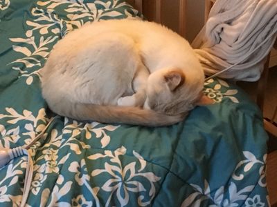 MaxCamille Profile Photo