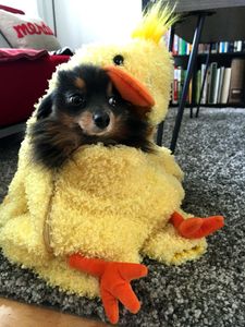 MizMamie Profile Photo