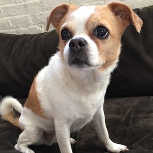 MattRVA Profile Photo