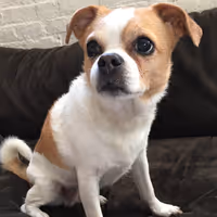 MattRVA Profile Photo