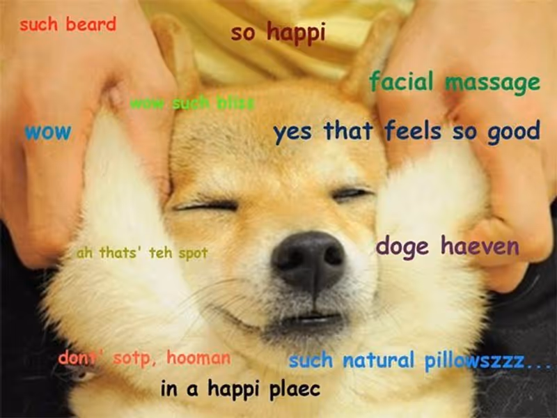CoolDogeGuy profile photo