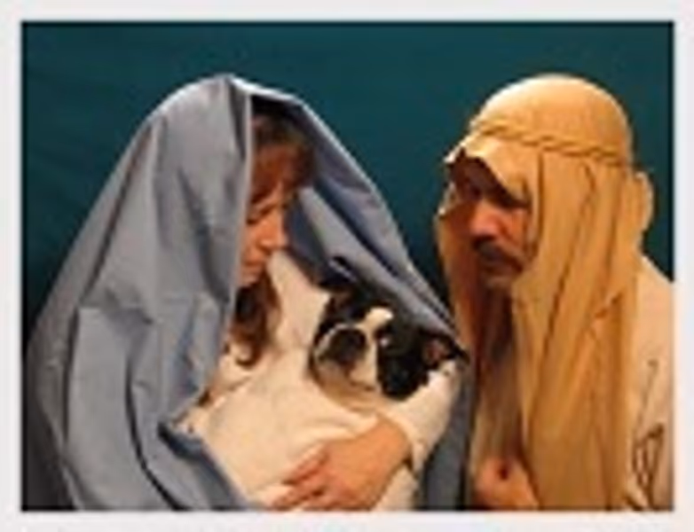 raddersons profile photo
