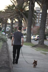 Impeach2017 Profile Photo