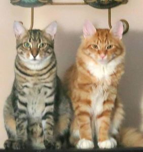 pacificnorthwest Profile Photo