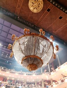 Stacey954 Profile Photo