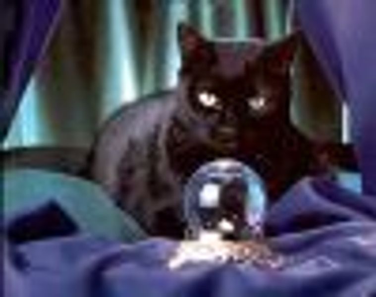 pyewacket profile photo